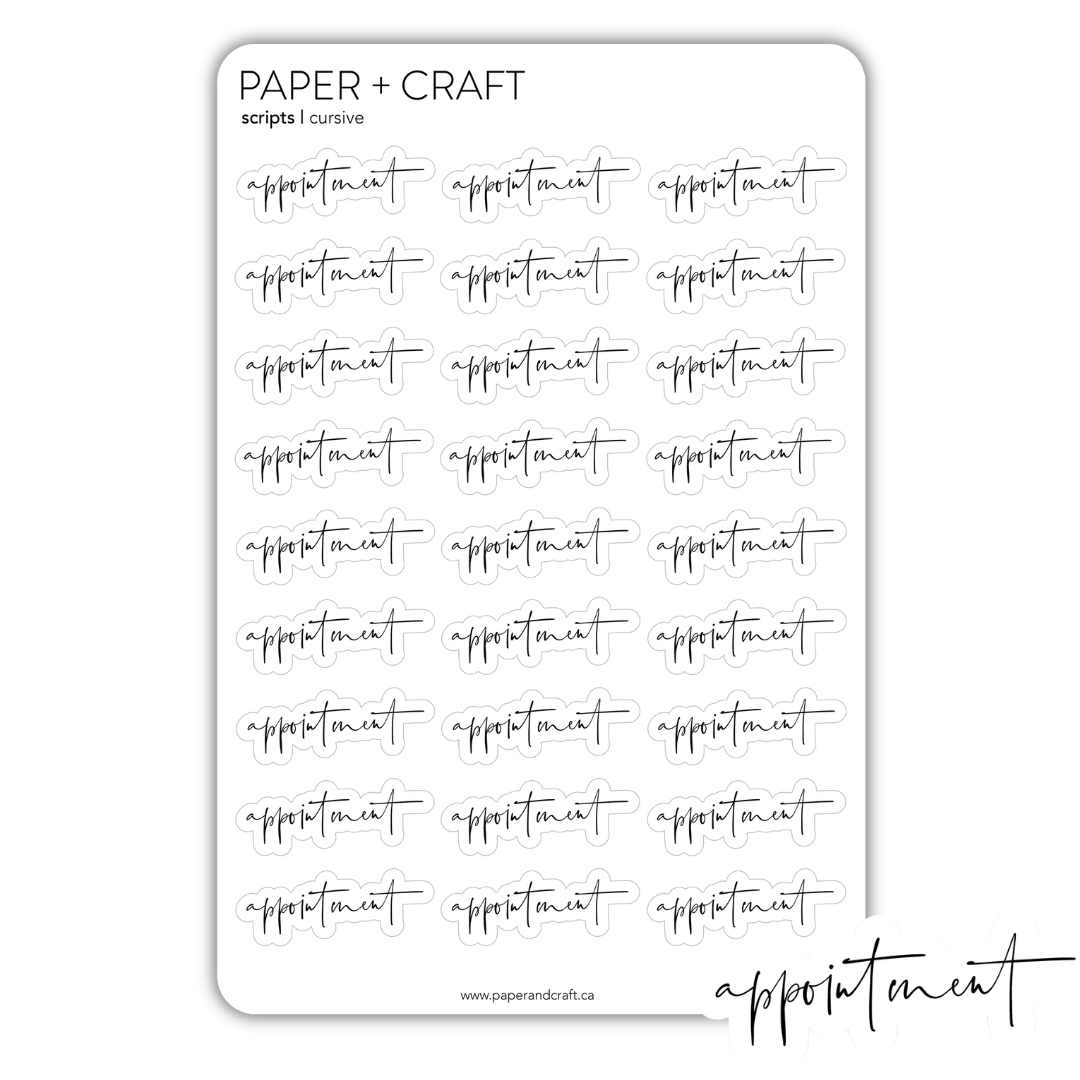 Appointment Sticker Sheets (2 pack)