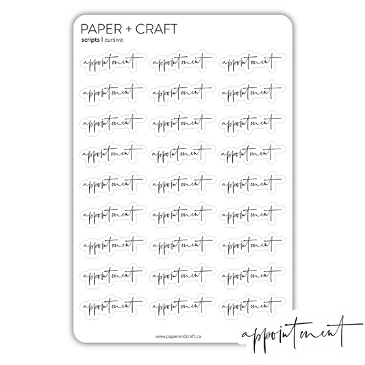 Appointment Sticker Sheets (2 pack)